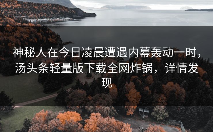 神秘人在今日凌晨遭遇内幕轰动一时，汤头条轻量版下载全网炸锅，详情发现