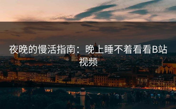 夜晚的慢活指南：晚上睡不着看看B站视频
