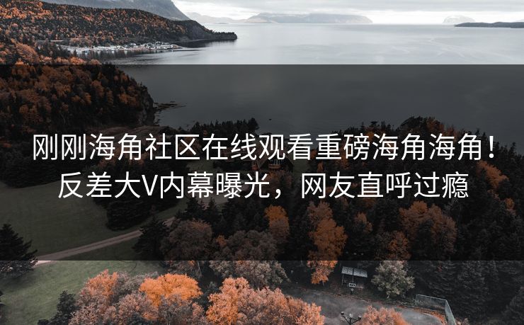 刚刚海角社区在线观看重磅海角海角！反差大V内幕曝光，网友直呼过瘾