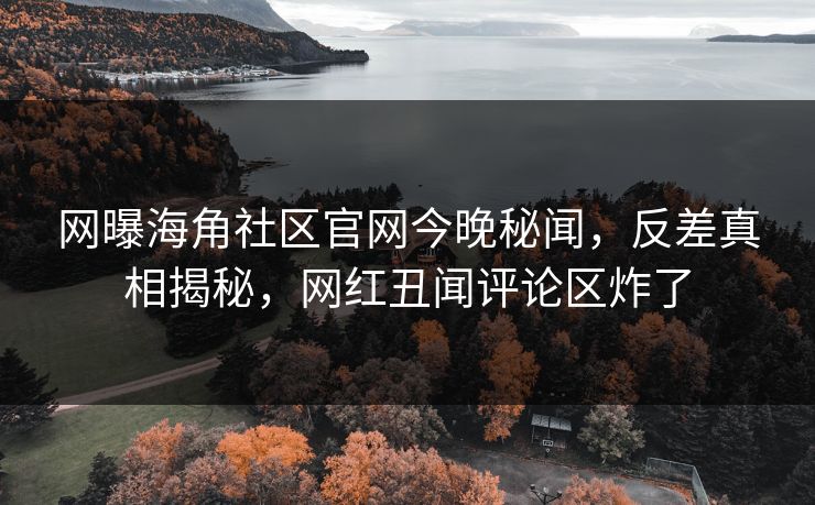 网曝海角社区官网今晚秘闻，反差真相揭秘，网红丑闻评论区炸了