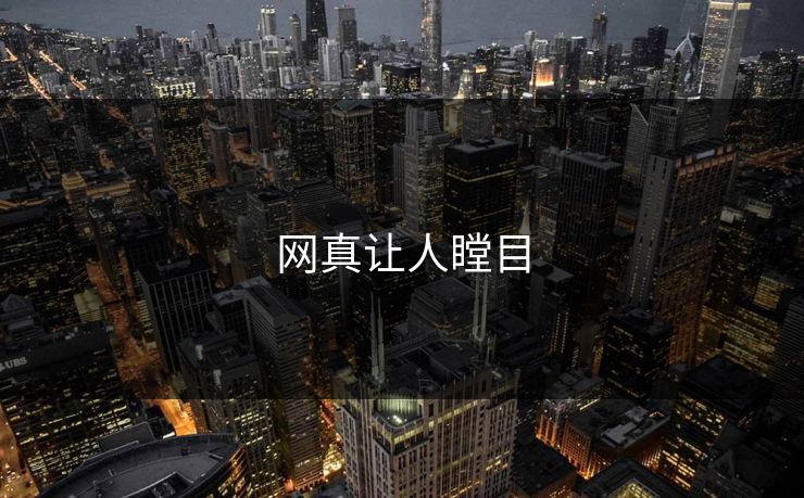 网真让人瞠目